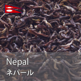 Nepal ネパール